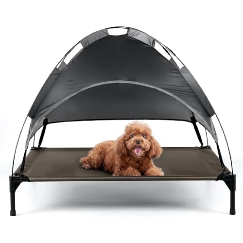 Petlicity Elevated Dog Bed