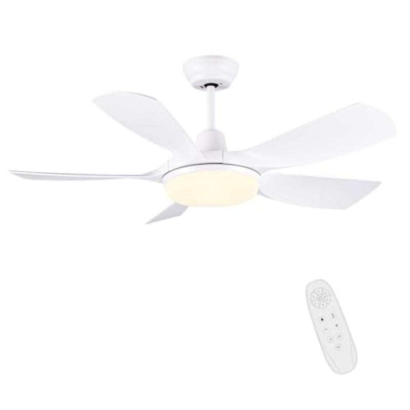 Newday Ceiling Fan with Lights