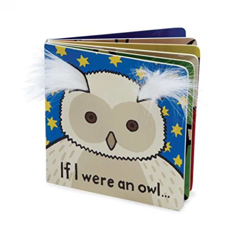 If I Were an Owl