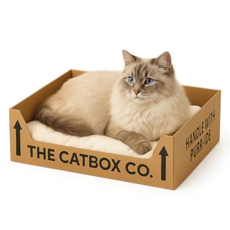 The CatBox Cat Bed