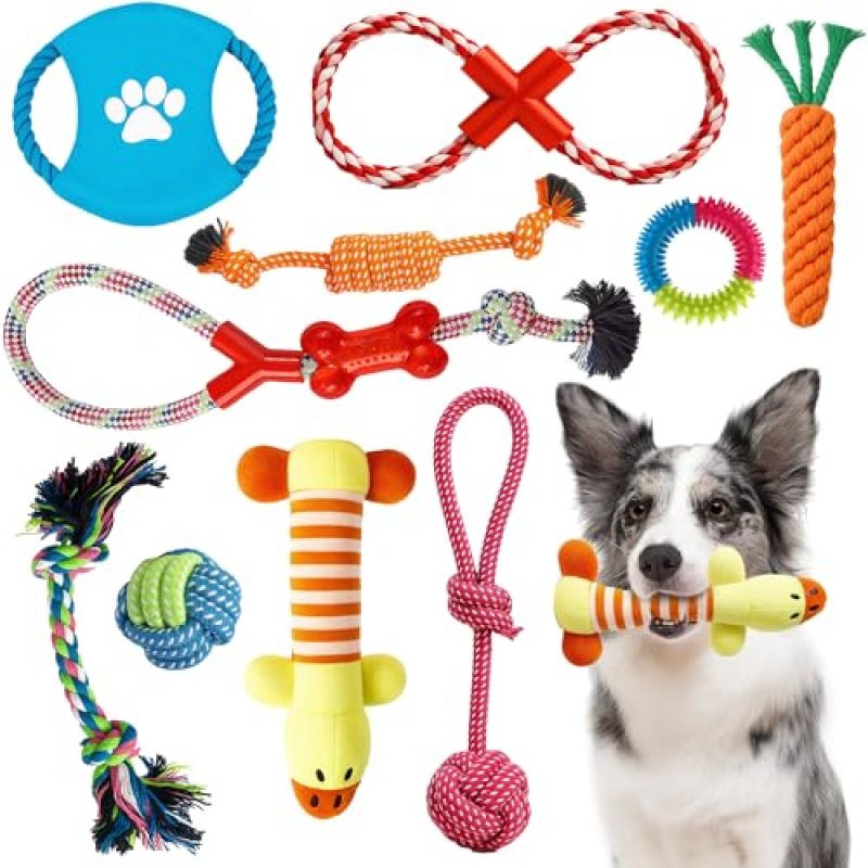 ZENO Chew Dog Toy Set