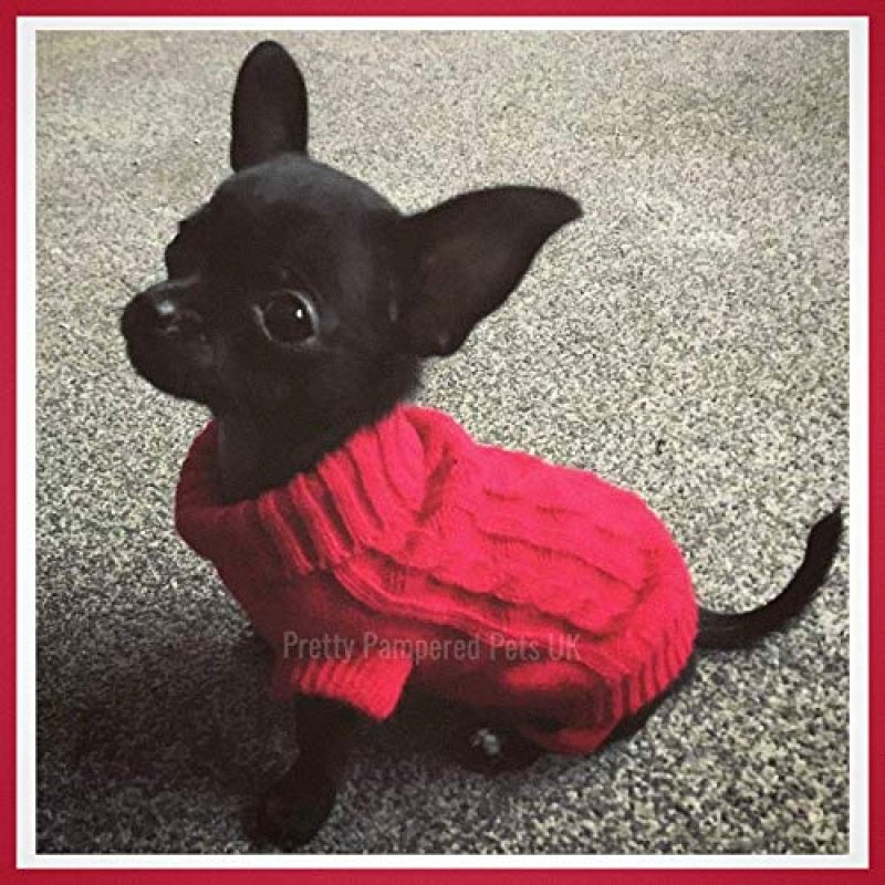 Chihuahua Dog Coat