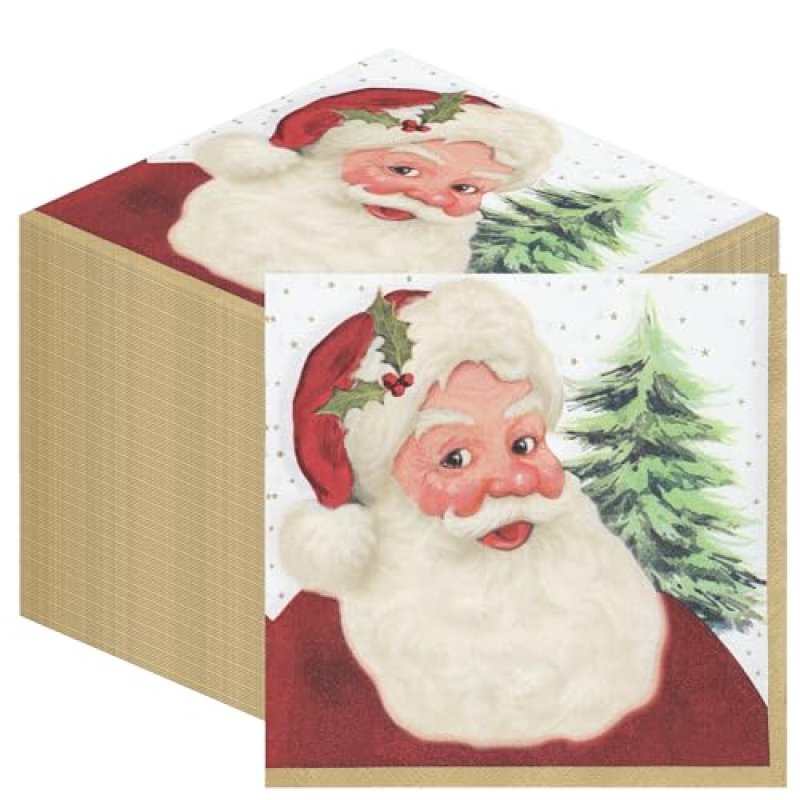 Christmas Santa Napkins
