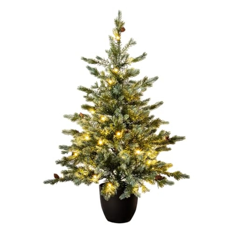 Christmas Tree World Cairngorm Pine