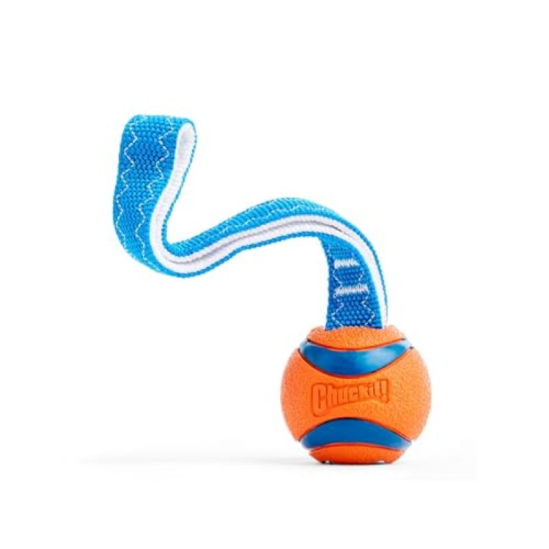 Chuckit! Tug Toy