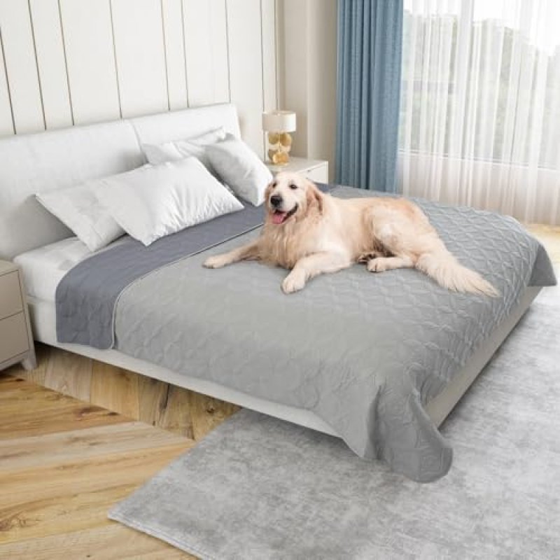 Pick for Life Dog Blanket