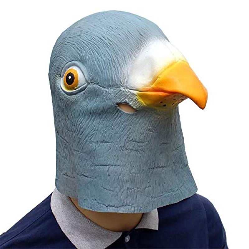 HAORONG Pigeon Mask