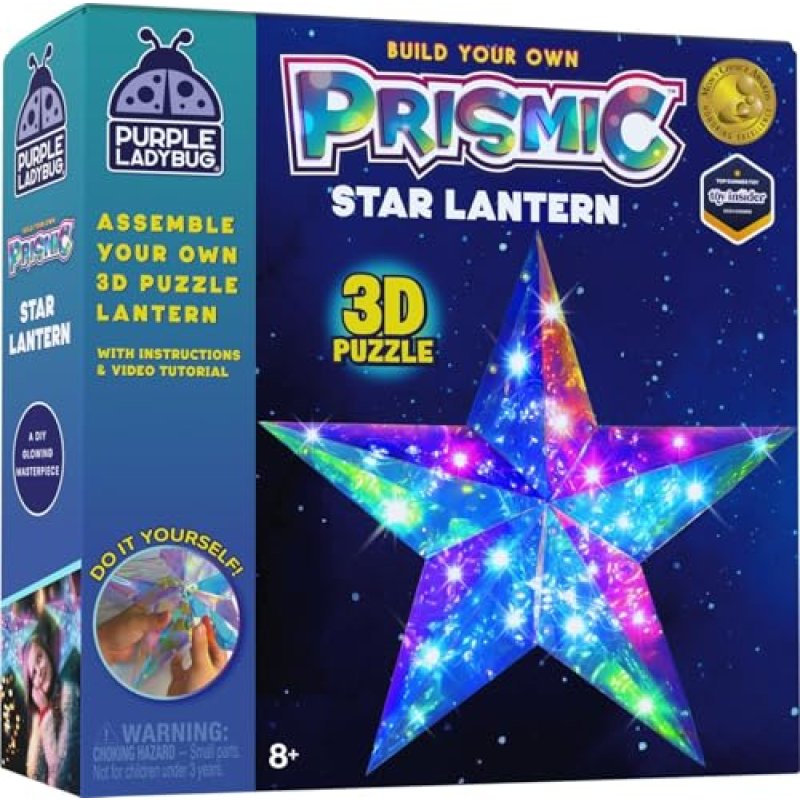 PURPLE LADYBUG Light Up 3D Star Craft Kit