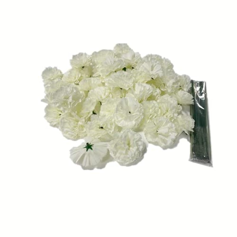 Rikyo Carnation Flowers