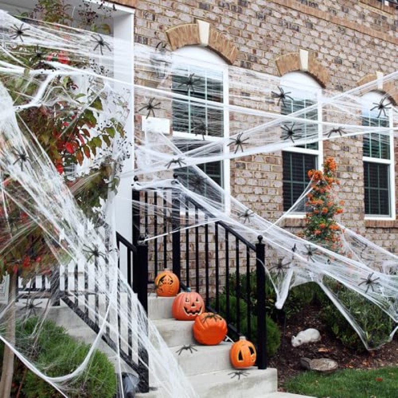 OWill Halloween Web & Spiders