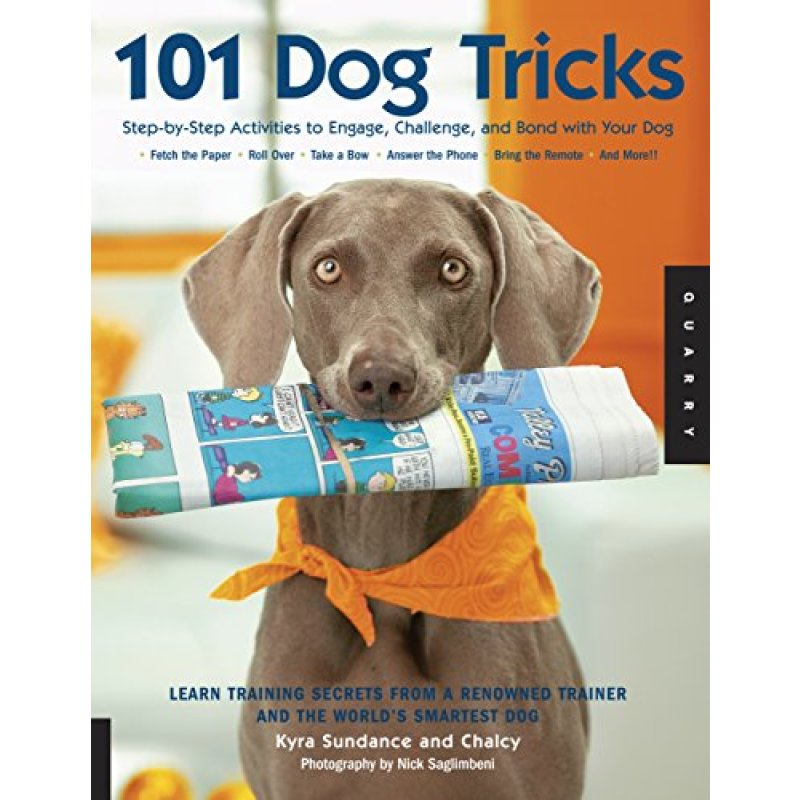 Silly Dog Tricks