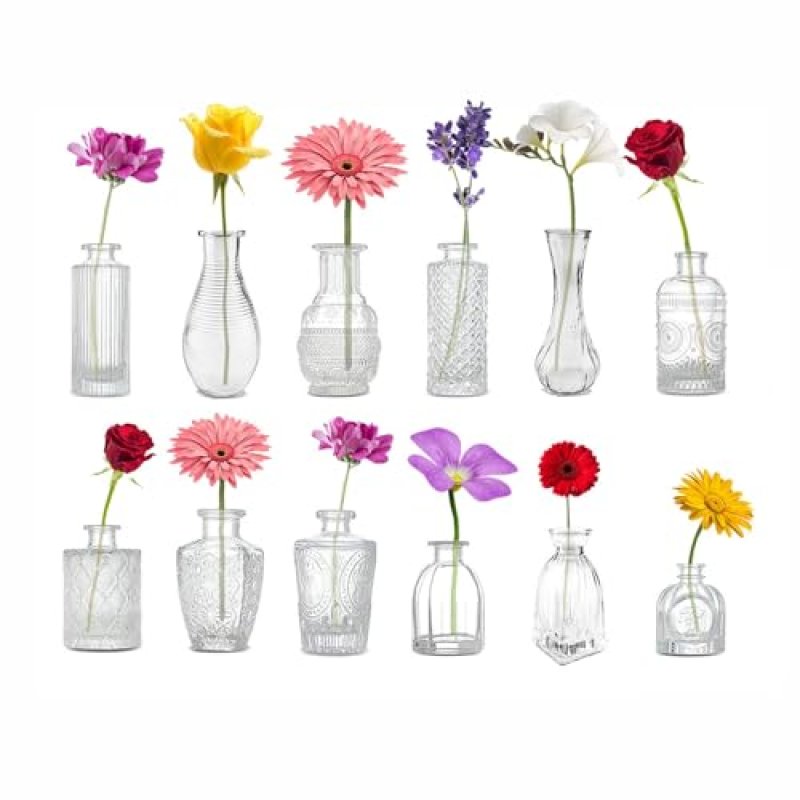 Simpa Glass Flower Vases