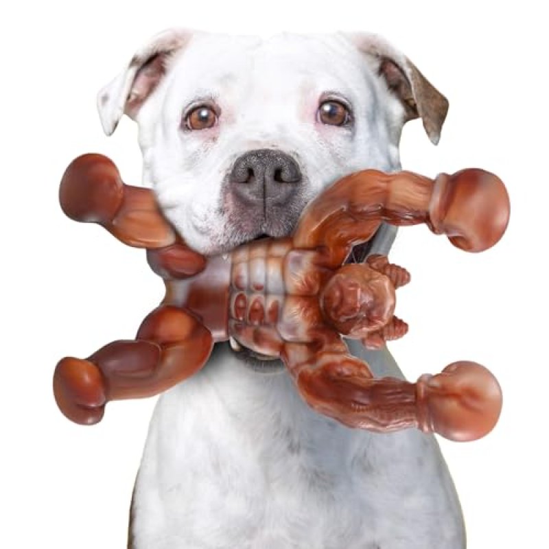 Zinbo Nylon Dog Chew Toy
