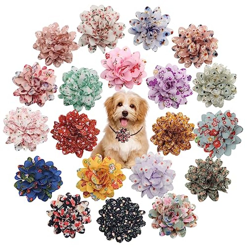 Windspeed Dog Flower Collars