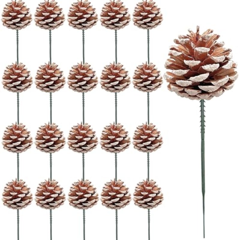 Pine Cones Craft Set