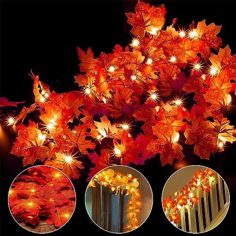 Ainkedin Autumn Fairy Lights