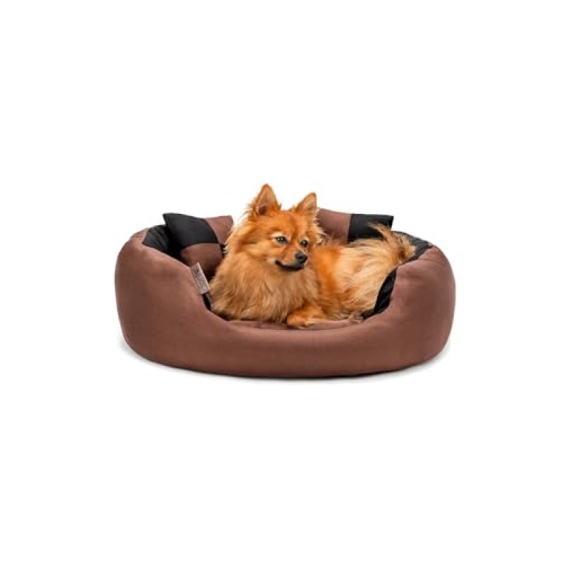Lionto 4-in-1 Dog Bed