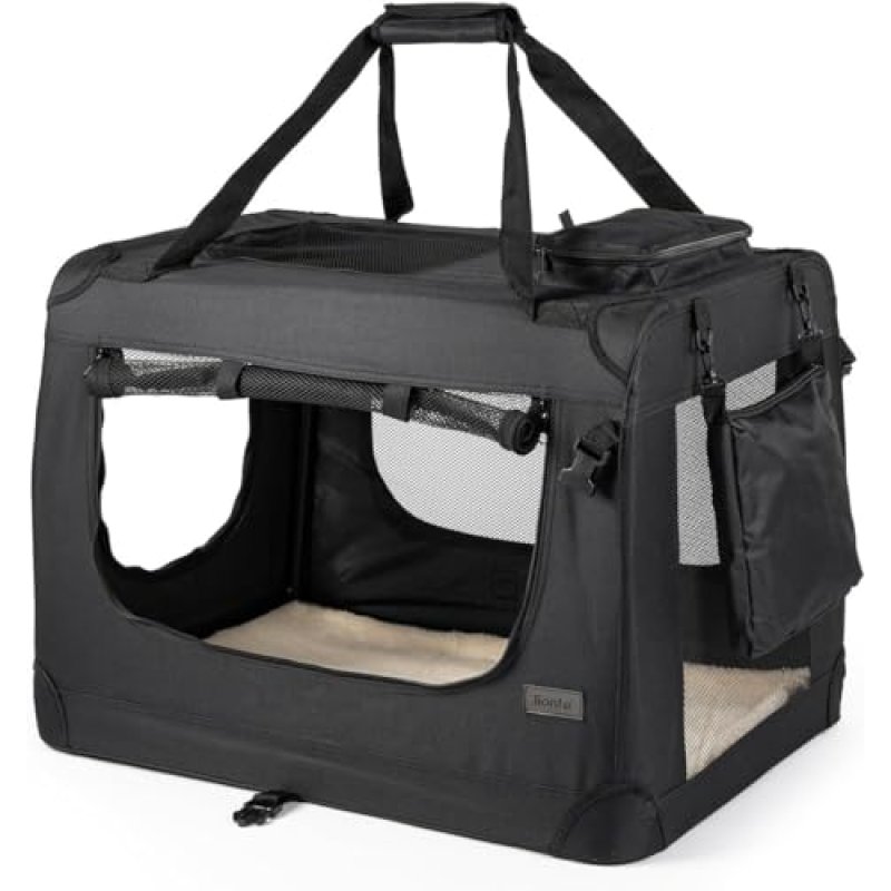 Lionto Transport Box