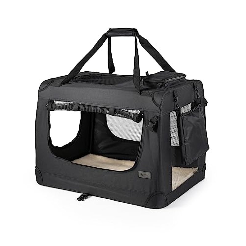 Lionto Transport Box
