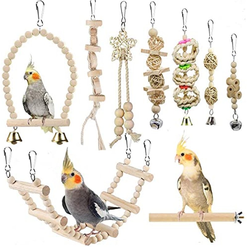 Bird Toys & Accessories