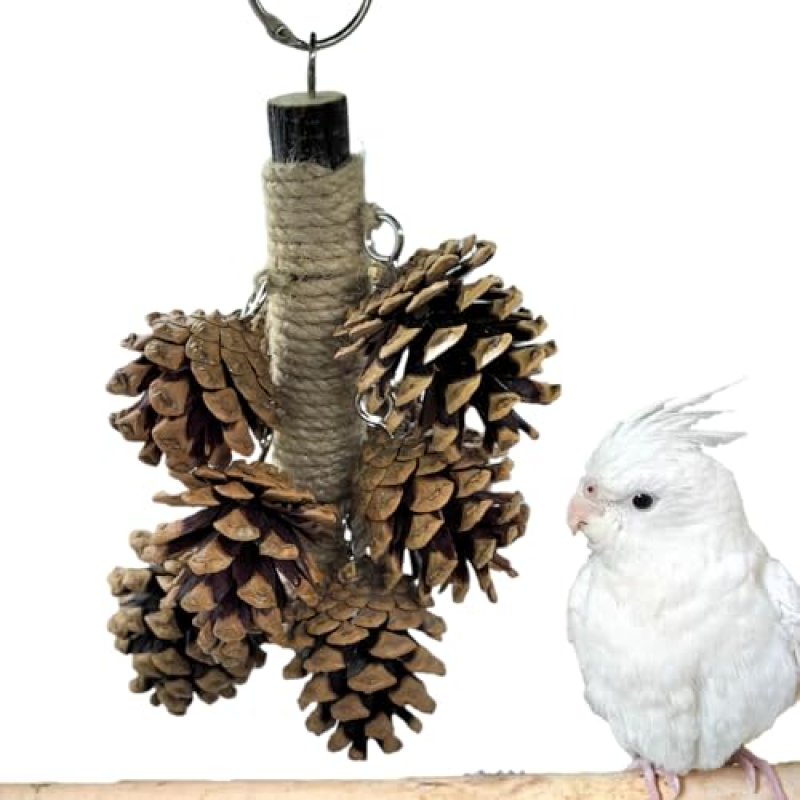 WACURRENTHYD Bird Toys