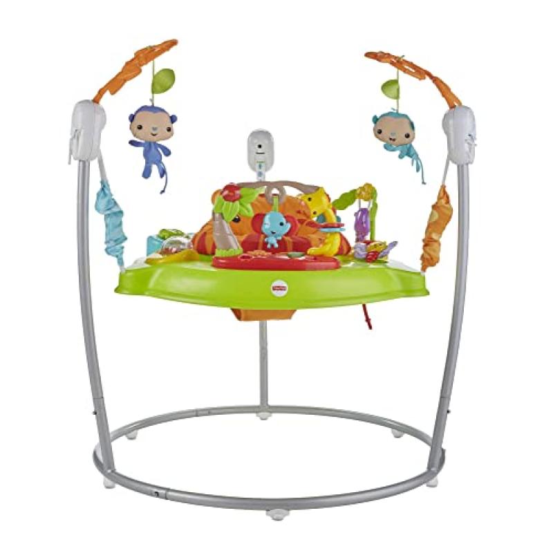 Fisher-Price Rainforest Jumperoo
