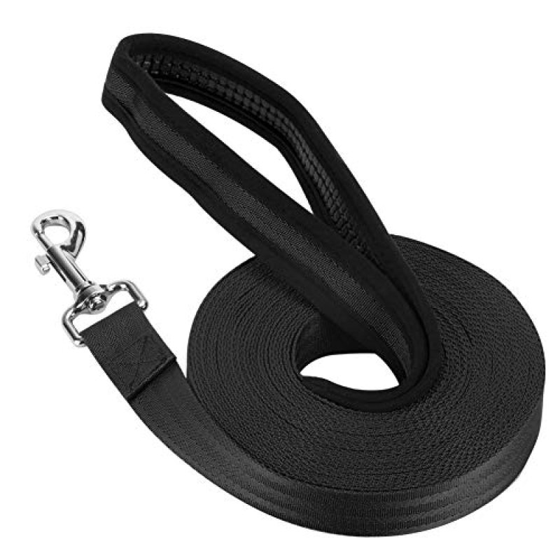 Vivifying Long Line Dog Leash