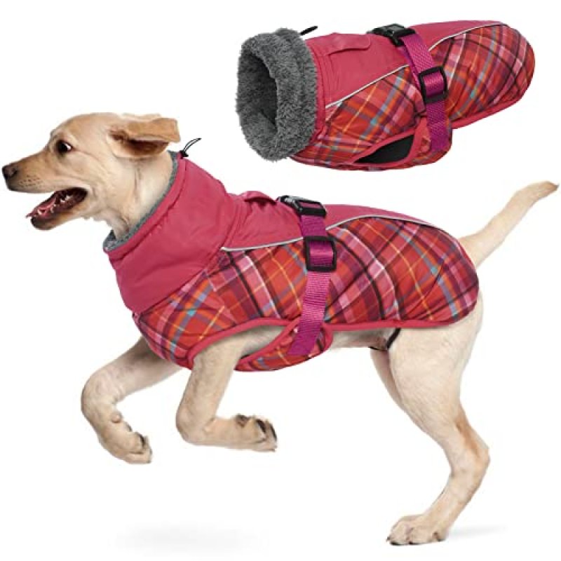 Hjyokuso Winter Dog Coat