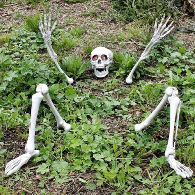 Skeleton Halloween Prop