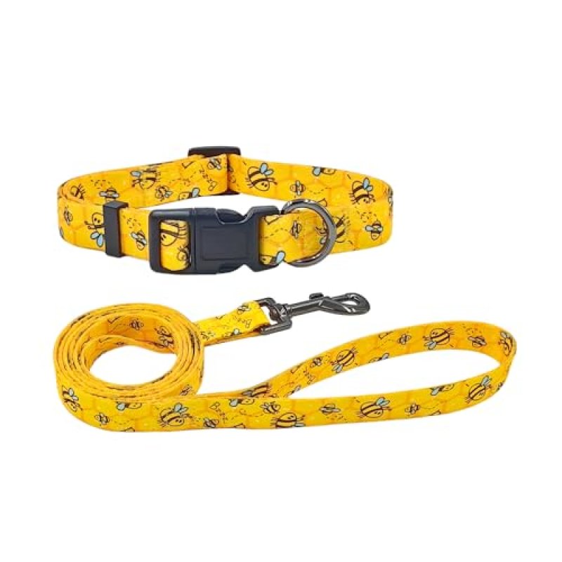 Olahibi Dog Collar & Lead