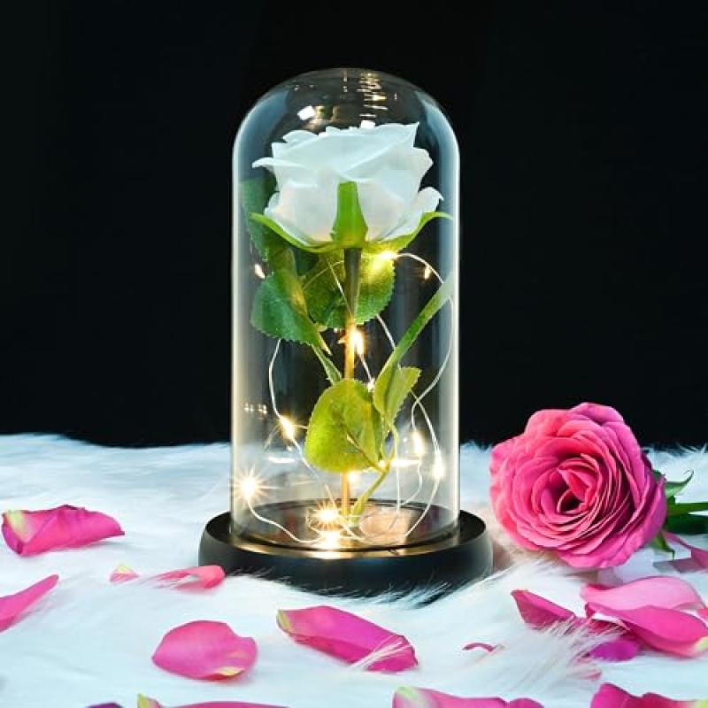 Glass Dome Eternal Rose Gift