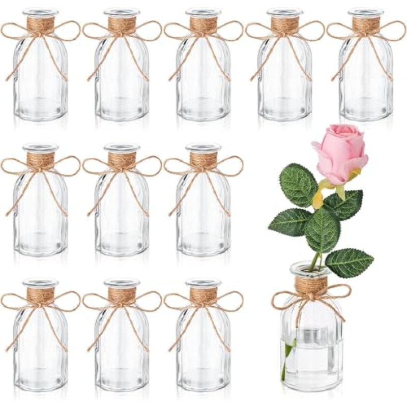 Glass Bud Vases Set