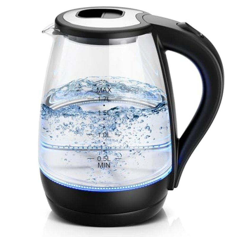 KEINVE Electric Kettle