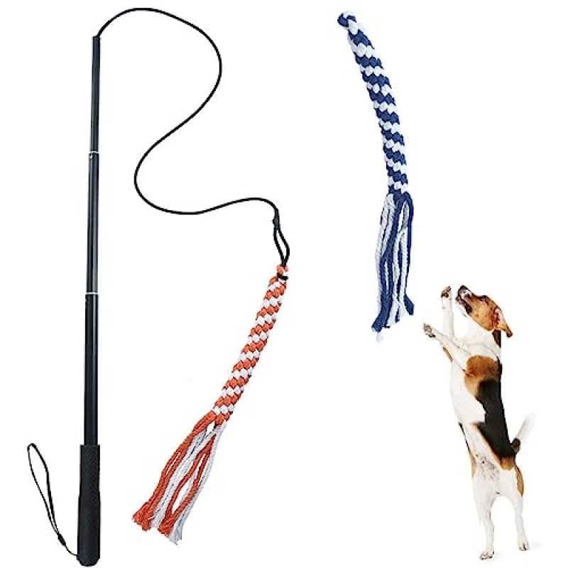 ASOCEA Flirt Pole for Dogs