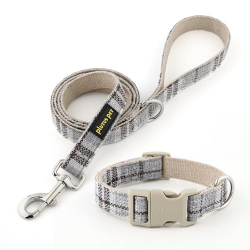Plutus Pet Dog Collar & Leash