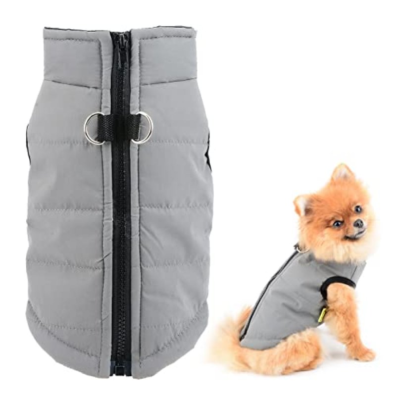 Smalllee Lucky Store Dog & Cat Coat