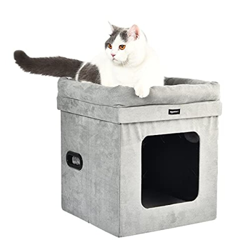 Amazon Basics Cat House