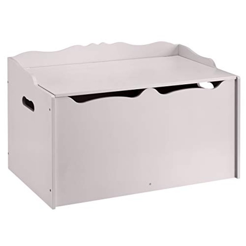 Amazon Basics Toy Box