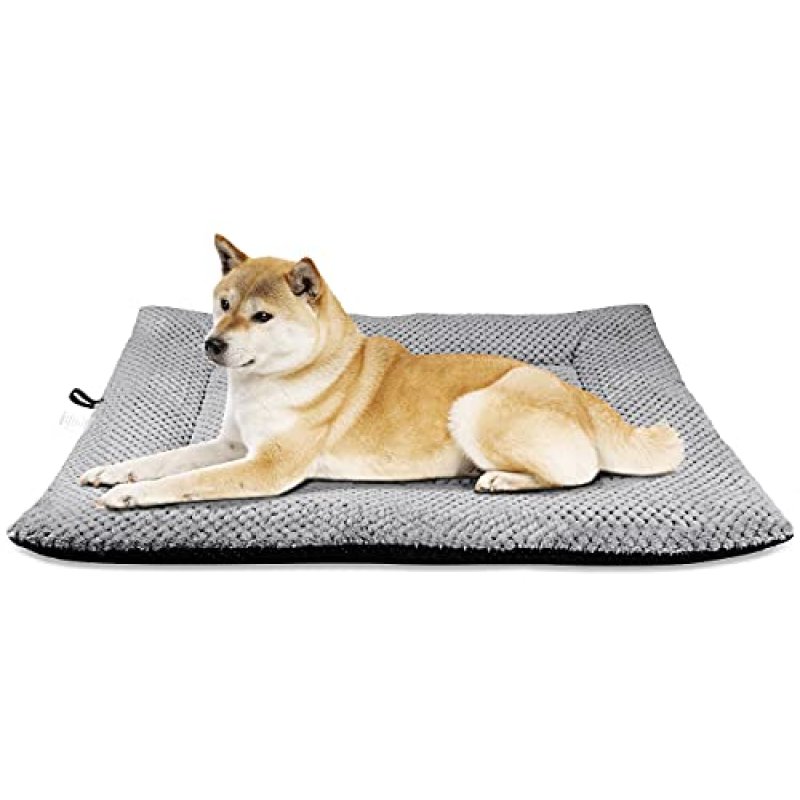 Onarway Dog Bed