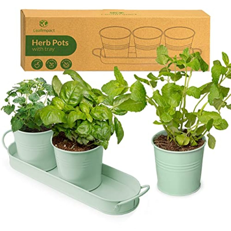 Indoor Herb Planter
