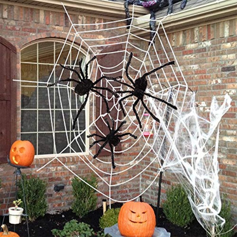 AniSqui Halloween Spider Set