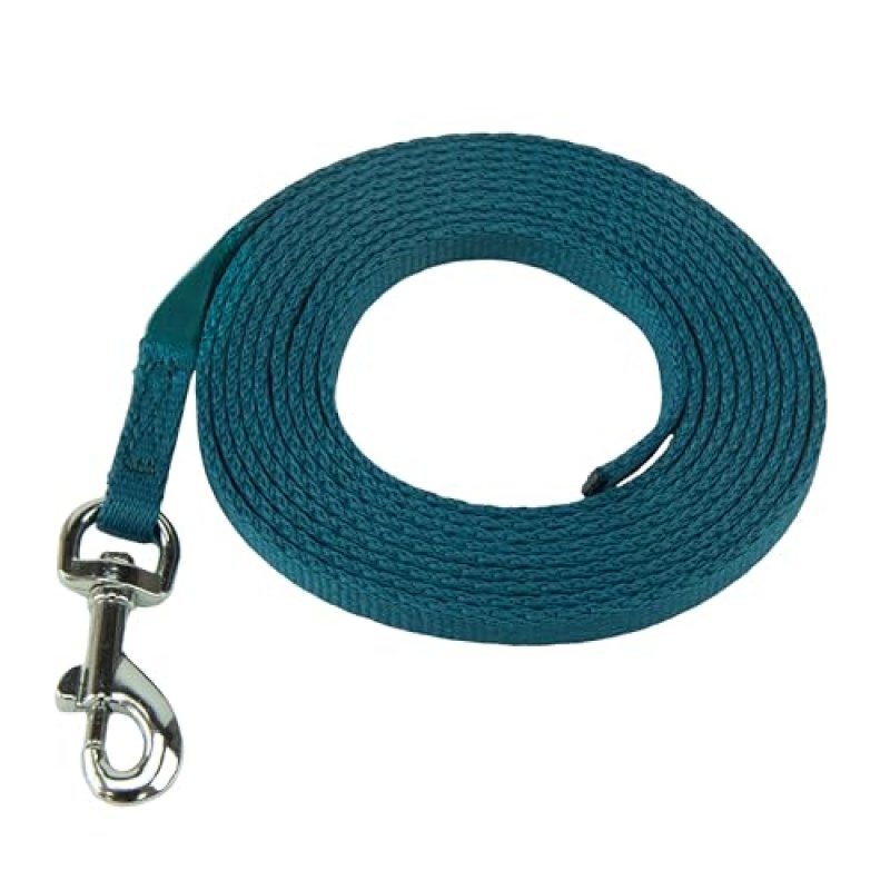 Coachi Puppy Training Line