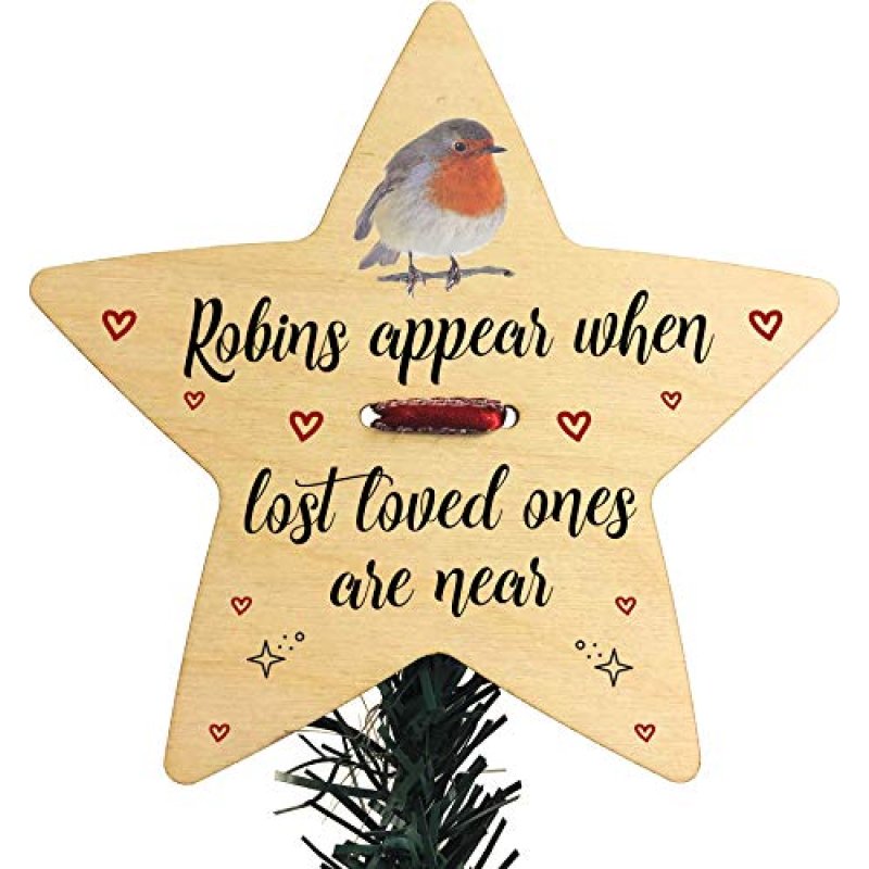 Robins Appear When Lost Loved Ones Are Near…