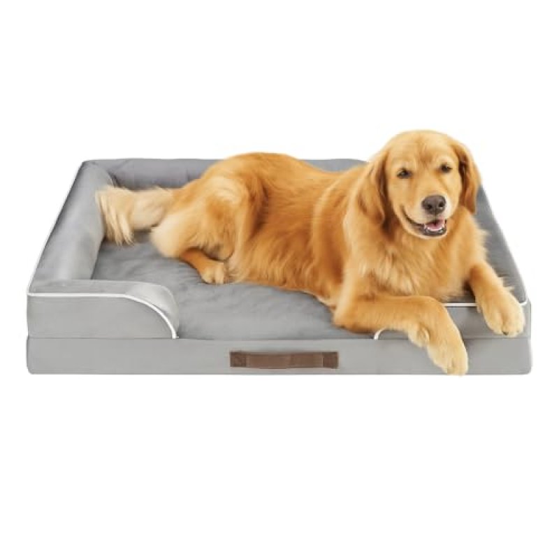 Codi Memory Foam Dog Bed