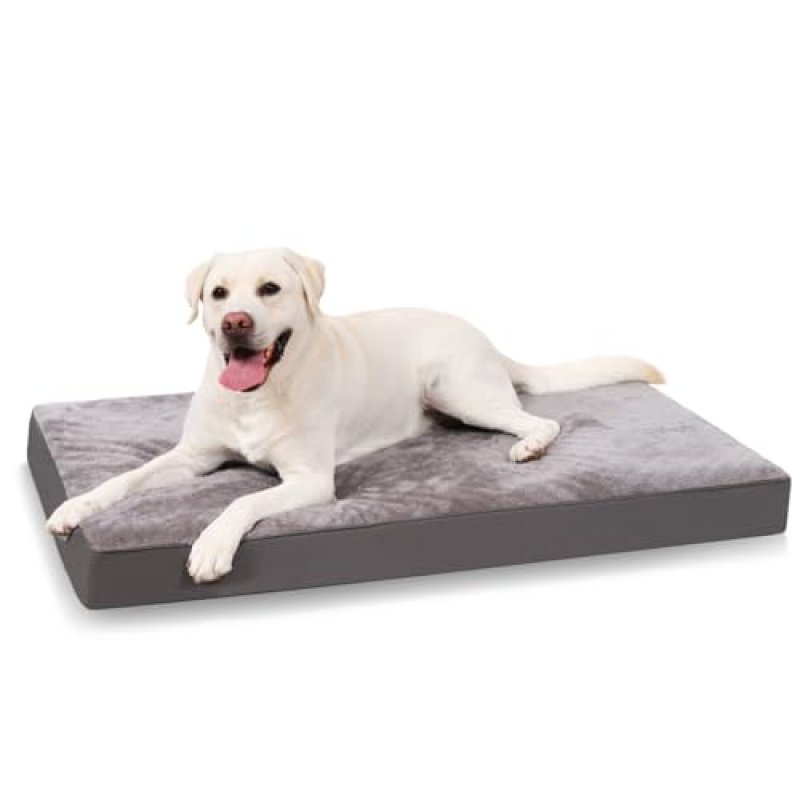 KSIIA Dog Bed