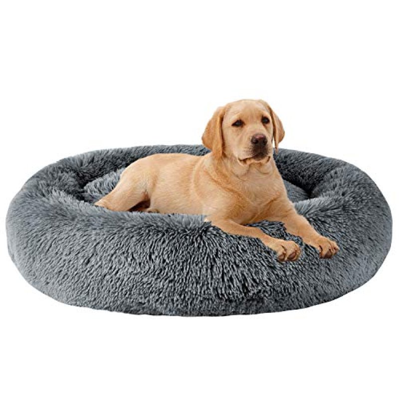 MFOX Dog Bed