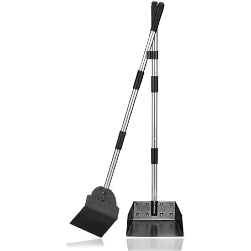 Dog Poop Scoop