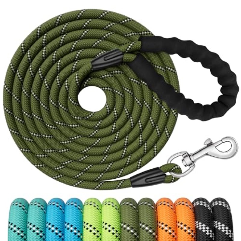 X XBEN Dog Training Lead