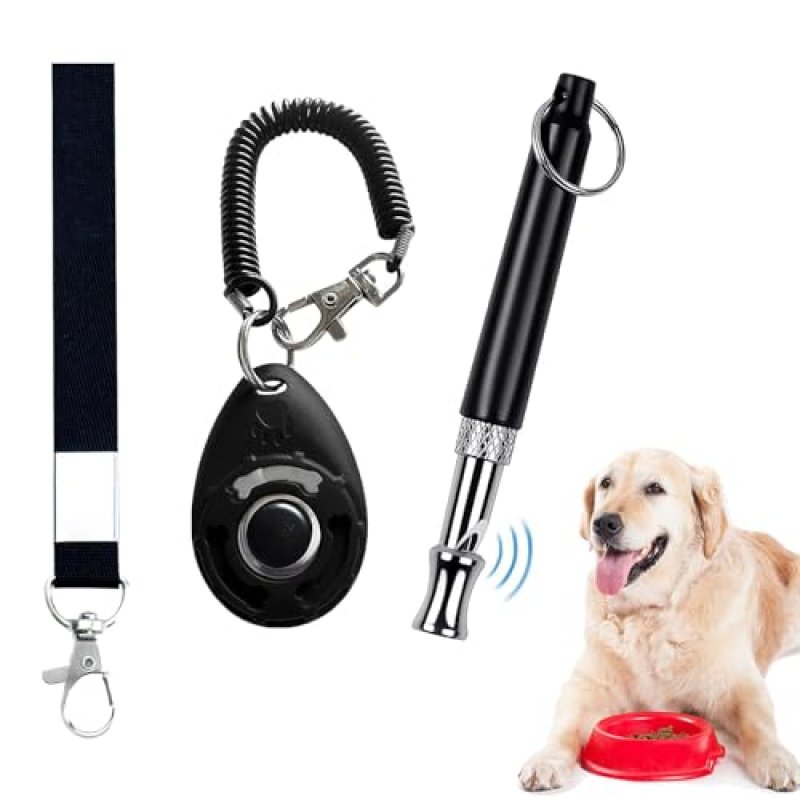 Dog Training Set