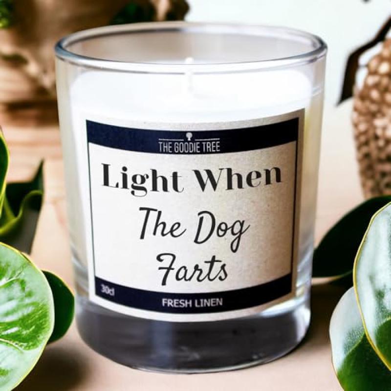 Dog F@rts Scented Candle
